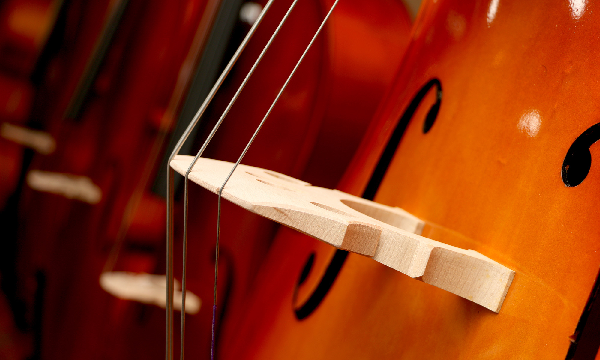 stringed Instruments